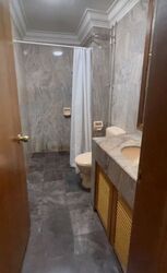 Le Hill Condominium (D5), Condominium #476361871